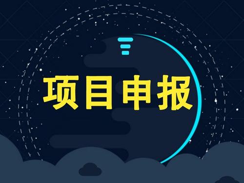 企業(yè)可以獨自申請項目補貼嗎？成功率怎么樣？