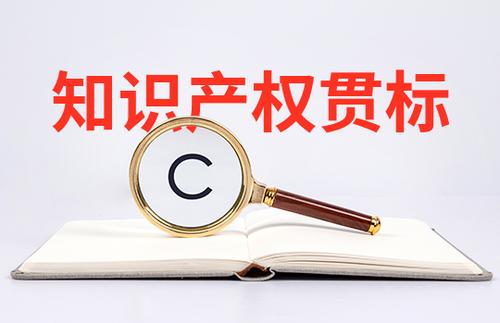 小微初創(chuàng)企業(yè)怎么申請知識產(chǎn)權(quán)貫標？
