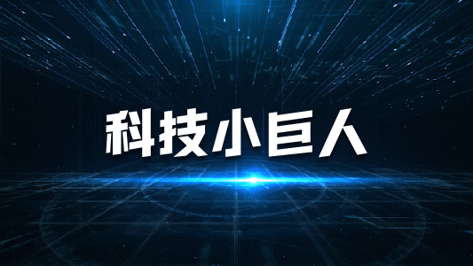 東莞市專精特新中小企業(yè)申報(bào)條件、補(bǔ)貼